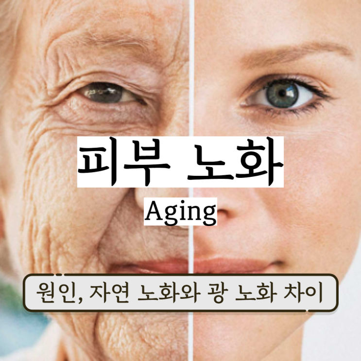 피부 노화는 왜 오는걸까? 자연 노화와 광 노화 차이 피부노화방지 하는 홈케어 피부 노화는 왜 오는걸까? 자연 노화와 광 노화 차이 피부노화방지 하는 홈케어