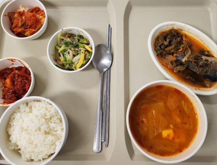  [MBO수술]수술2일차(통증O,주사바늘-1)