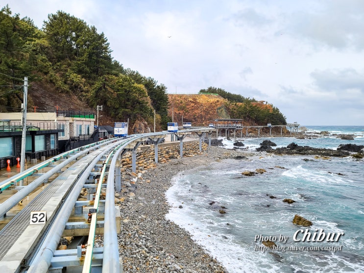  경북 울진 가볼만한곳 죽변항 바다다 모노레일 죽변해안스카이레일