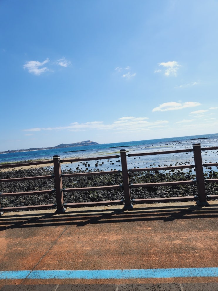  성산일출봉 근처 소금바치 순이네