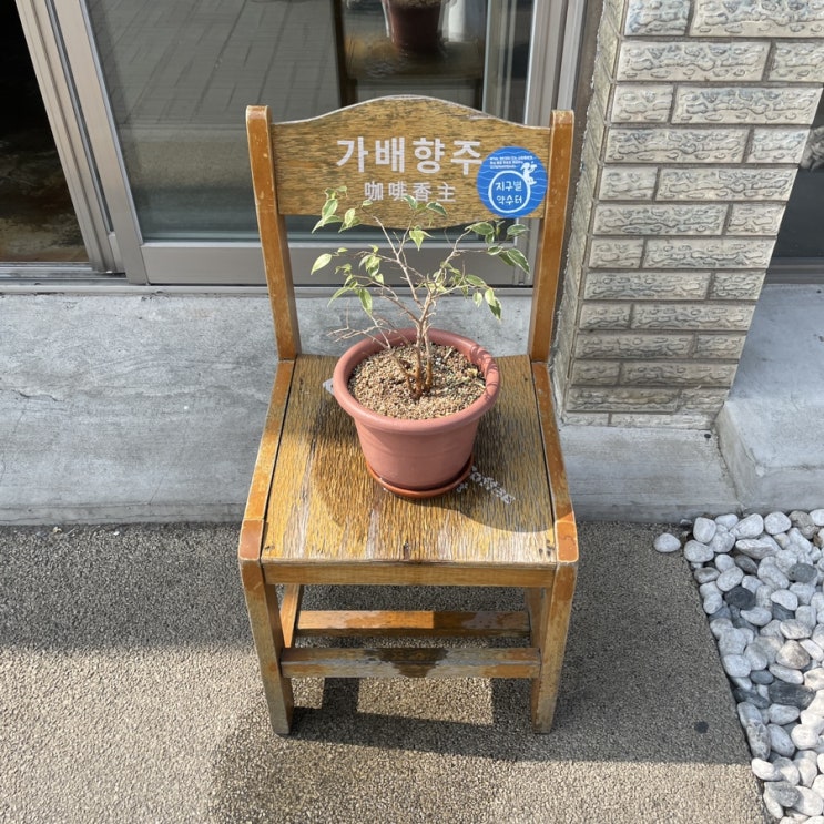  [경주] 가배향주 : 황리단길 카페, 이슬 매실차