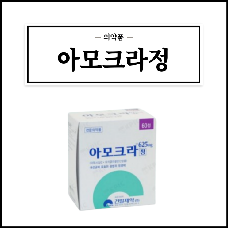 아모크라정 625mg, 효능효과/복용법/부작용/주의사항 등 간단정리