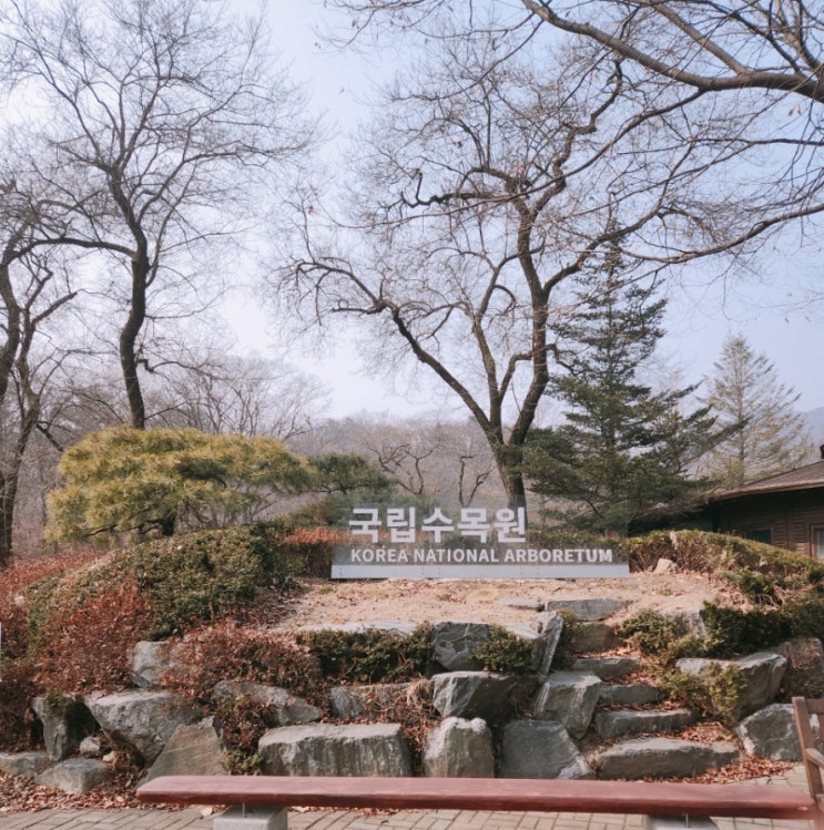  포천 국립수목원 주말 나들이