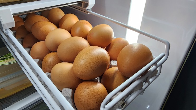 냉동계란 만들어 보관하는 방법과 달걀 신선도 체크방법