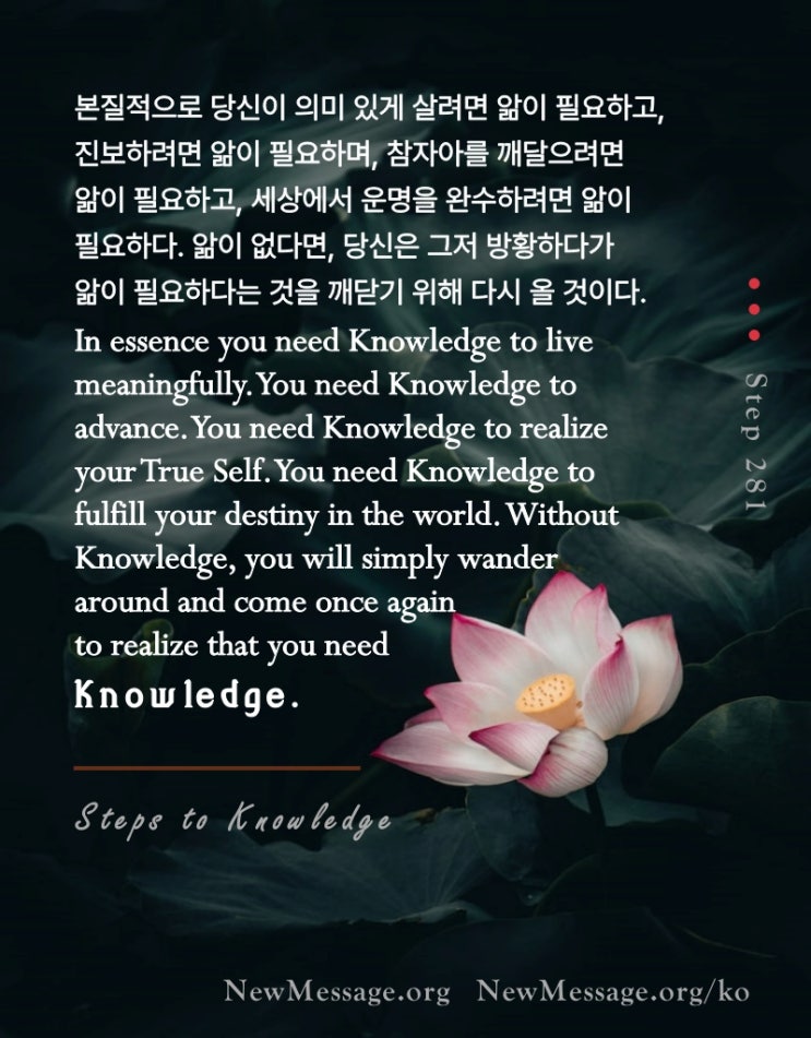 제 281 계단 : 무엇보다도 먼저 나는 앎을 구한다 Above all else I seek Knowledge. 제 281 계단 : 무엇보다도 먼저 나는 앎을 구한다 Above all else I seek Knowledge.