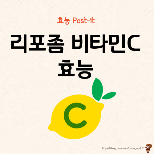  리포좀 비타민C 란? 면역력과 흡수율까지 좋은 리포솜 비타민C의 효능 6가지