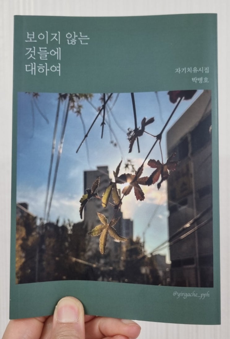  베스트셀러시집, 보이지 않는 것들에 대하여 박병호