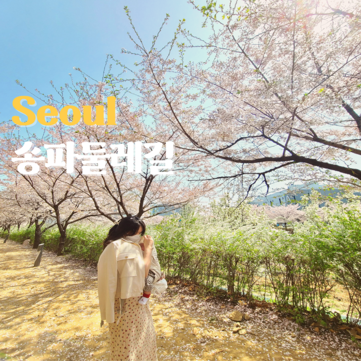  2023 벚꽃 개화시기 와 숨은 서울 벚꽃 명소 송파둘레길