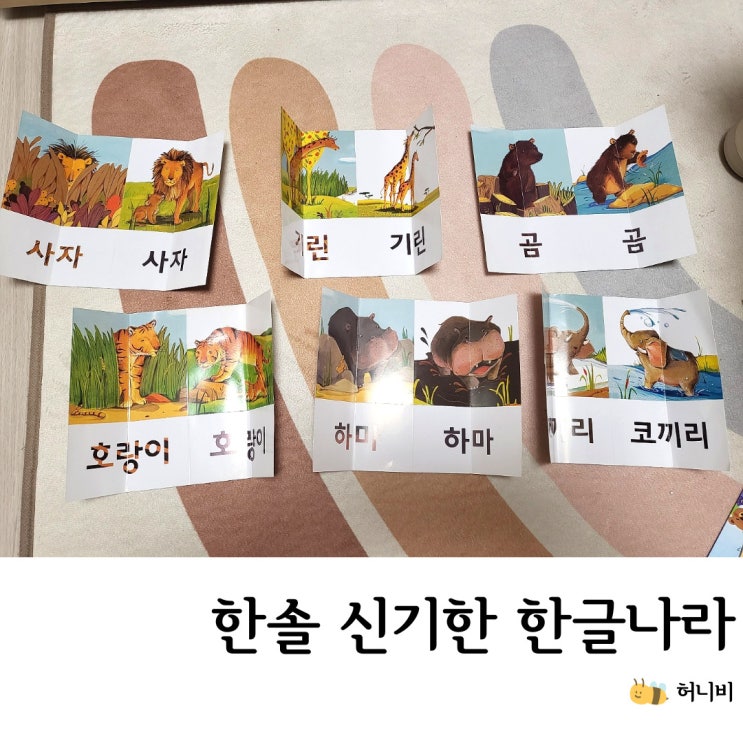  한솔 교육 신기한 한글나라 방문수업 1년 후기, 4세 한글 (호기심 놀이 비교)