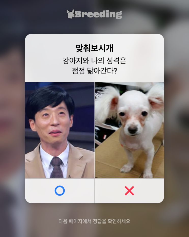 강아지와 나, 점점 닮아갈까? #반려견훈련 #반려견지식 강아지와 나, 점점 닮아갈까? #반려견훈련 #반려견지식