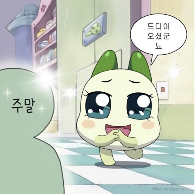  피리쀼 부인 일기