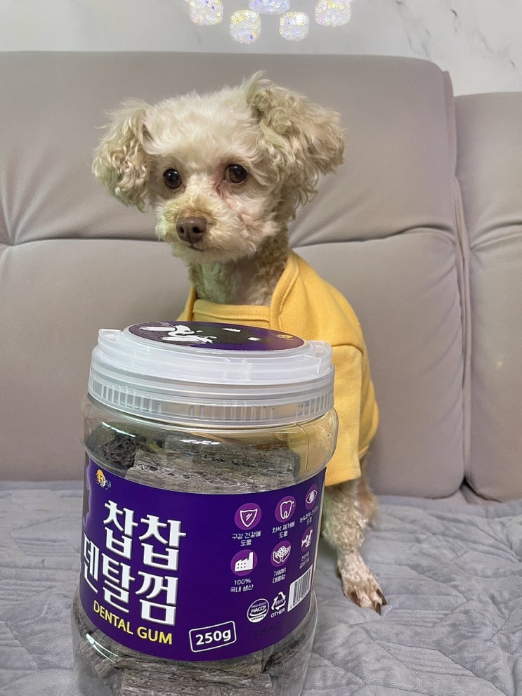  [제품 리뷰] 전연령 강아지 피부, 눈물, 치석 제거에 좋은 말랑한 “솜달펫 찹찹 덴탈껌 블루베리” 후기!