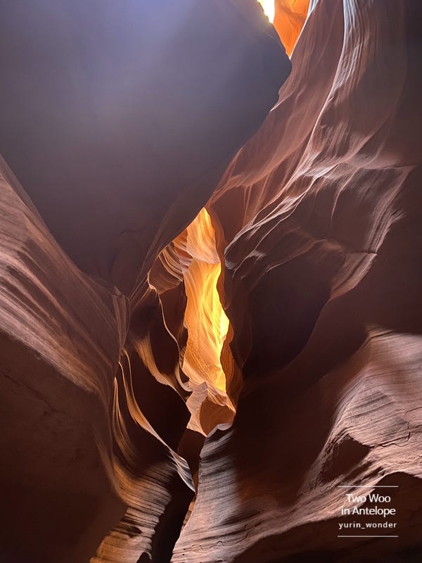  [미국 라스베가스 여행] 윈도우 배경화면 앤텔롭 어퍼 캐년 투어 Antelope Canyon, 점심 버드하우스 레스토랑 (여행팁, 여행사 추천, 어퍼 vs 로어)