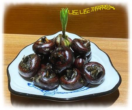  밤 아니 물밤