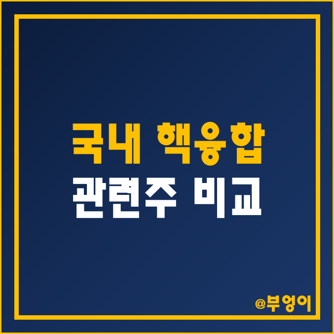 국내 핵융합 관련주 및 테마주 비교 : 두산에너빌리티 다원시스 삼화콘덴서 등 에너지 주식 주가 배당금 배당 수익률 시가총액 PER PBR 순위 국내 핵융합 관련주 및 테마주 비교 : 두산에너빌리티 다원시스 삼화콘덴서 등 에너지 주식 주가 배당금 배당 수익률 시가총액 PER PBR 순위