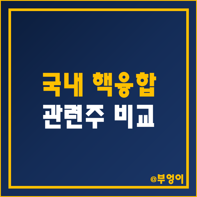 국내 핵융합 관련주 및 테마주 비교 : 두산에너빌리티 다원시스 삼화콘덴서 등 에너지 주식 주가 배당금 배당 수익률 시가총액 PER PBR 순위