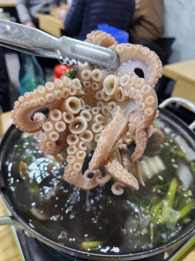 연안쭈꾸미 이미지