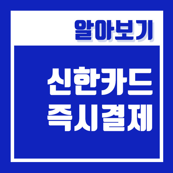  신한카드 즉시결제 플레이앱으로 5분만에 완료~