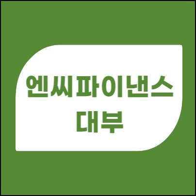 엔씨파이낸스대부 대출상품 총정리 및 부결 시 대안상품