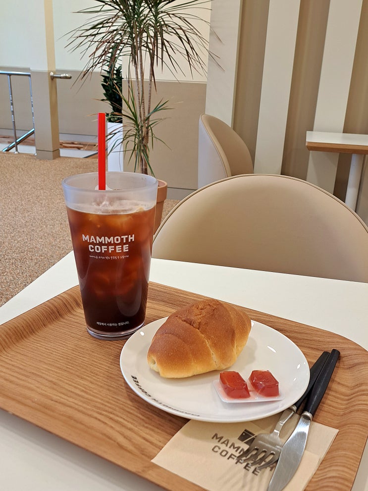  매머드익스프레스 소금빵 신메뉴 후기