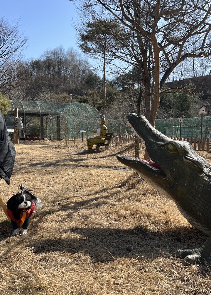 output_1719750742.jpg?type=w2