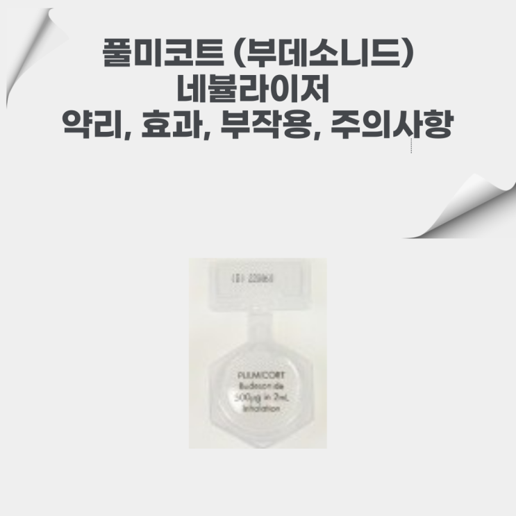  풀미코트(부데소니드), 천식과 기관지염에 사용하는 네뷸라이저! 효과, 부작용, 약리에 대해서 알아봐요!