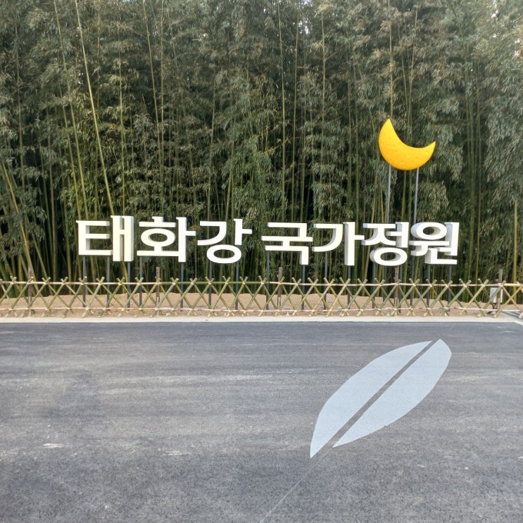  울산 태화강 국가정원 대나무숲길 산책코스 피크닉 추천