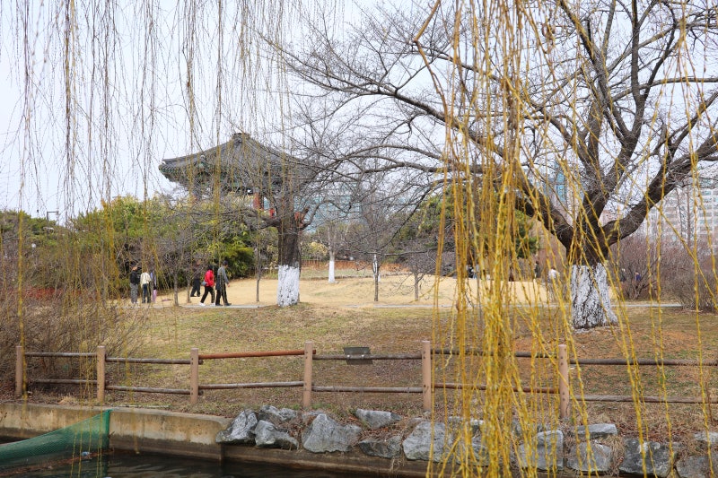 일산 호수공원의 휴일 풍경 : 네이버 블로그