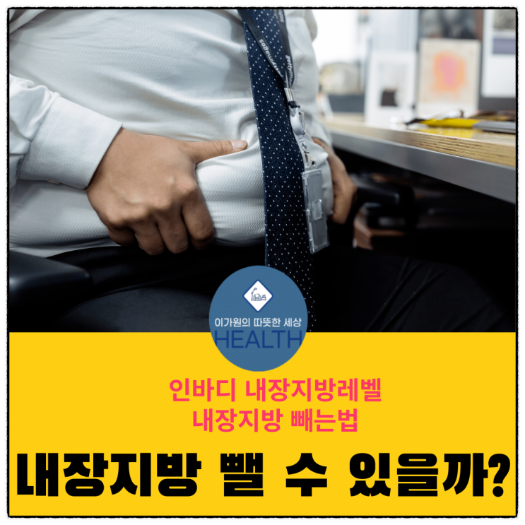  내장지방과 빼는법,   인바디와내장지방레벨