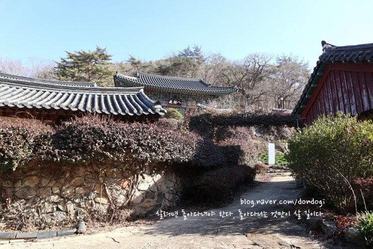  여수 흥국사 - 은영이 덕에 알게 된 여수의 보물, 보물 중의 보물들