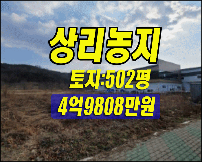  대구 달성군 논공읍 상리 농지 경매 땅 공장용지 대구경매 대법원경매정보