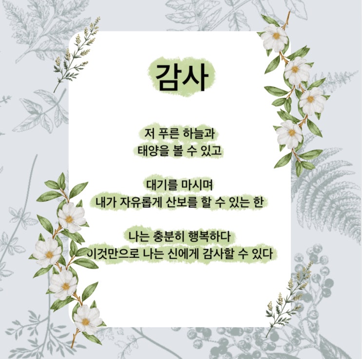 감사 시 모든 게 싫어질 때 이 시를 보세요. (ft. 노천명 시집) 감사 시 모든 게 싫어질 때 이 시를 보세요. (ft. 노천명 시집)