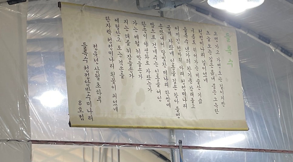 들록수참미나리 사진 6