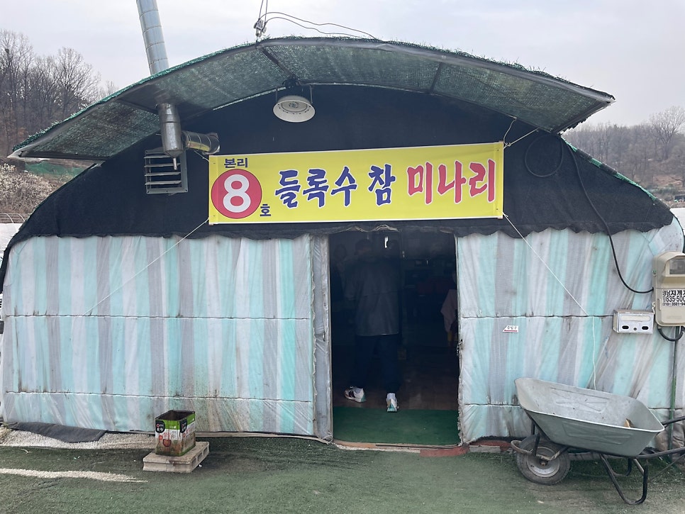 들록수참미나리 사진 4