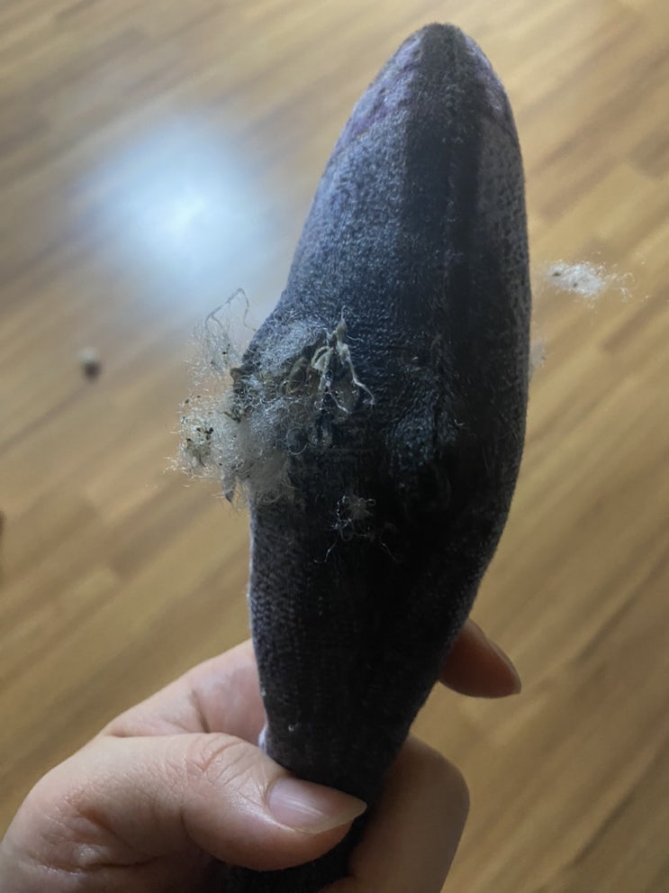  요근래 수영하는 얘기랑 이모저모고모