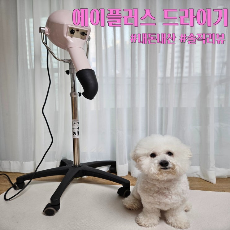  [강아지 미용제품 추천] '에이플러스 드라이기 2041'/비숑 보호자는 무조건 겟(내돈내산)