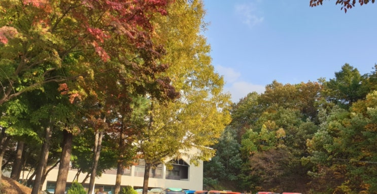 가장 선한 길로 인도하시는 하나님 가장 선한 길로 인도하시는 하나님