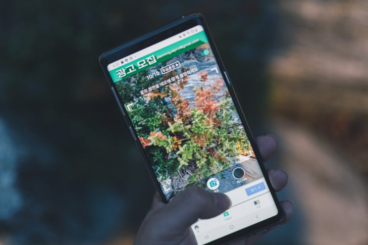 식물이름찾기 어플 AI 식물인식 서비스 왓캠 앱 후기