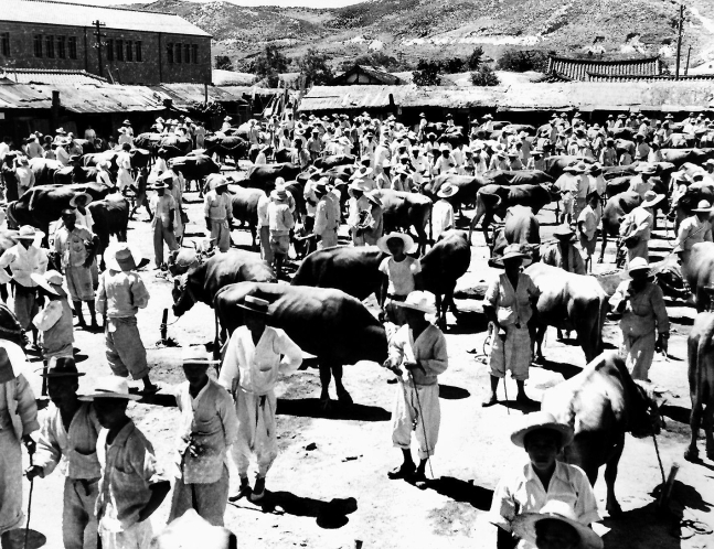 1930년대 한국 시골 농부도 소 차익거래를 했다