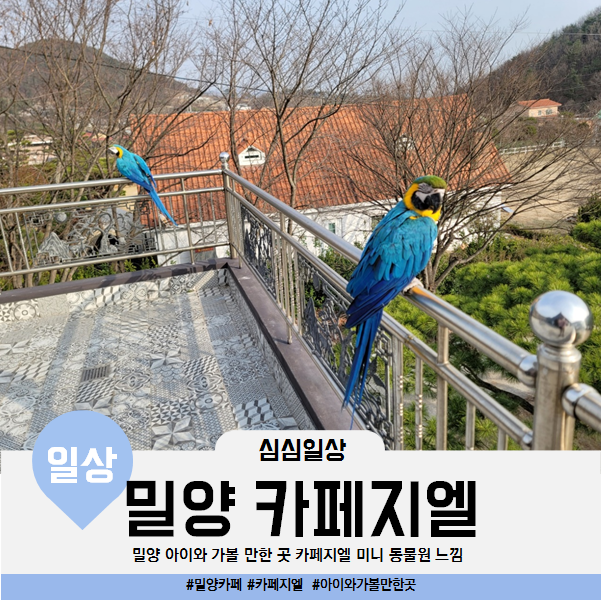  경남 밀양 아이와 갈만한 곳 카페지엘 작은 동물원 앵무새 파충류