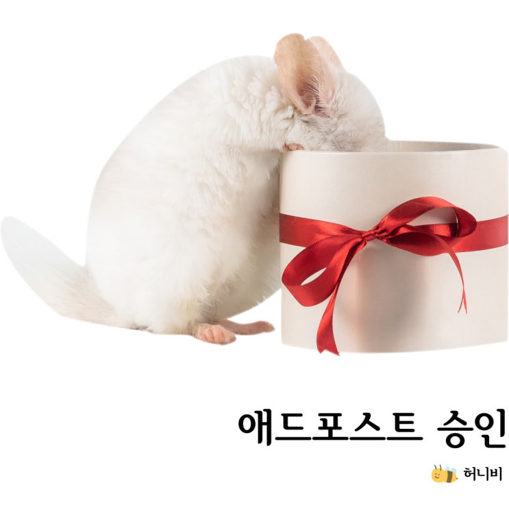  적은 포스팅(18개)으로 애드포스트 승인되었어요