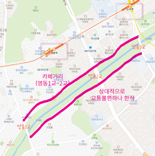  양재천 벚꽃 개화시기, 교통, 코스, 주변 카페, 음식점 추천 from 동네주민