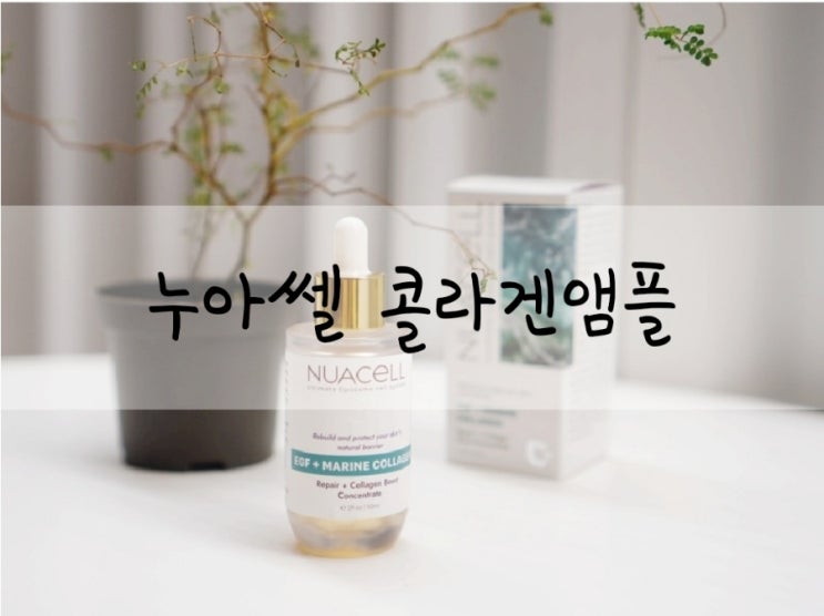  탄력세럼 디엠셀코스메틱 누아쎌 EGF 마린콜라겐 앰플 후기