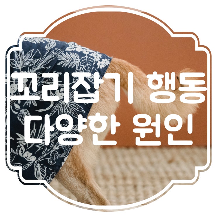  강아지 꼬리잡기 물기행동 왜 그런걸까??