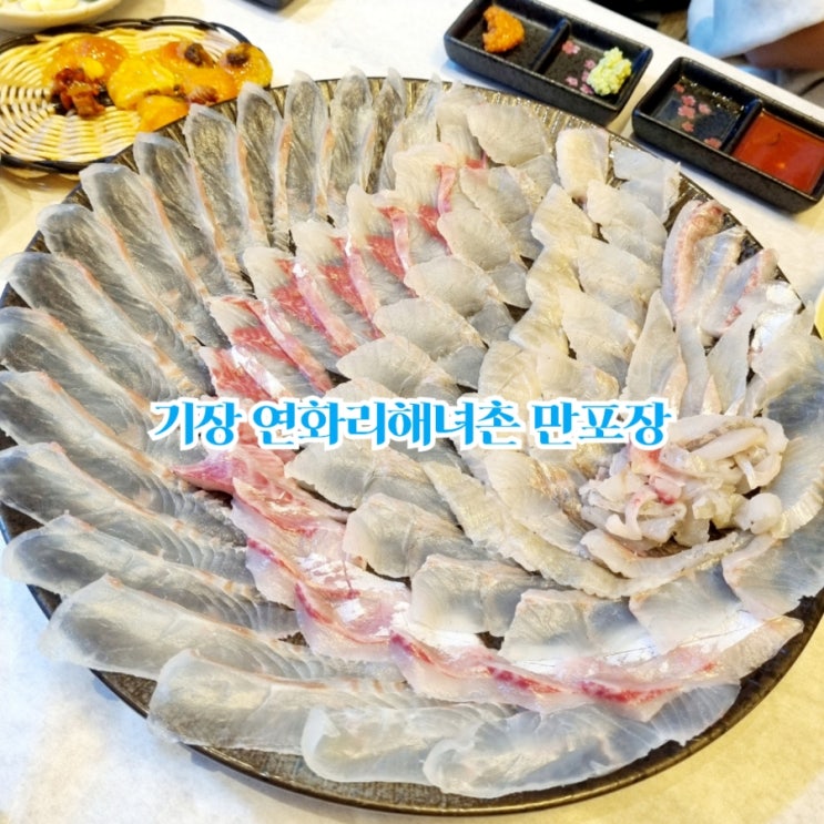  부산가볼만한곳 기장 연화리 해녀촌 만포장횟집 feat 모듬회 모듬해산물 맛집