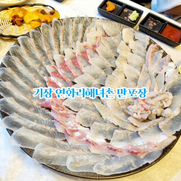 부산가볼만한곳 기장 연화리 해녀촌 만포장횟집 feat 모듬회 모듬해산물 맛집