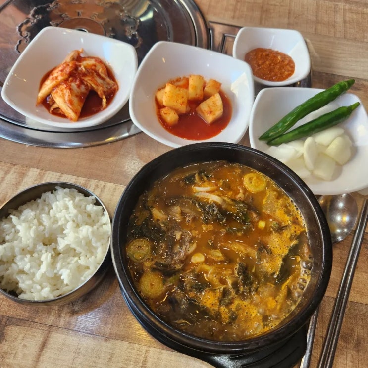  [청주/복대동] 국밥충 집 근처 국밥 투어 : 안동 본가 국밥