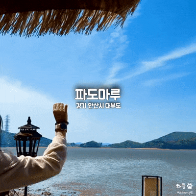  안산대부도 애견동반카페 파도마루, 탁 트인 오션뷰 맛집