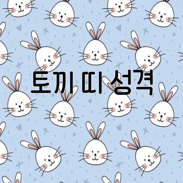  토끼띠 성격 토끼띠 여자성격 5가지 정리