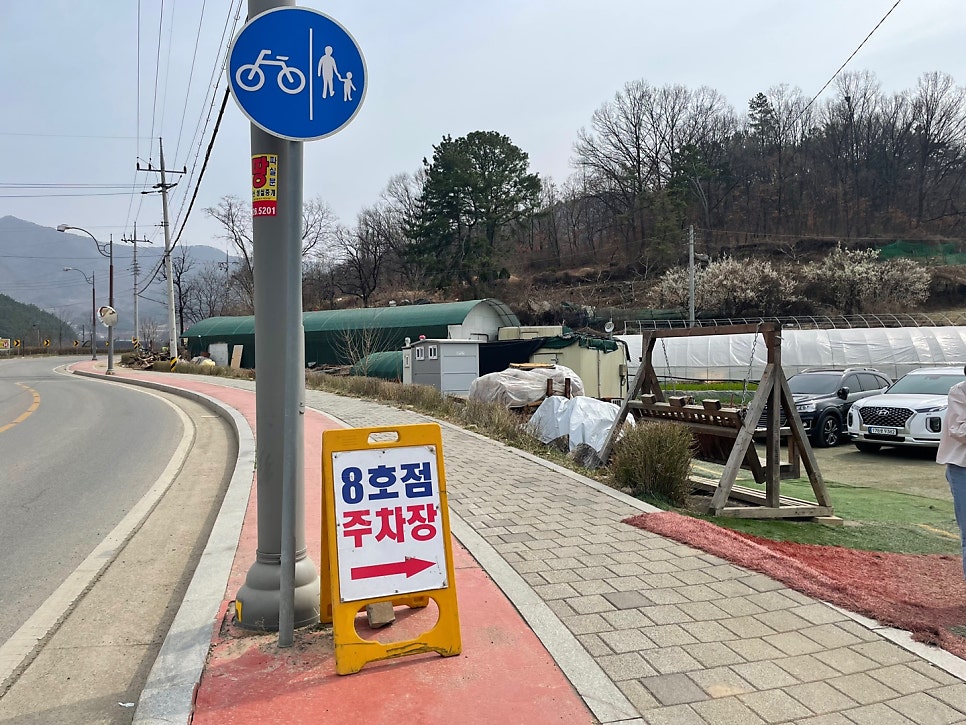 들록수참미나리 사진 2